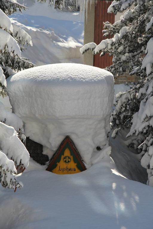 Hotel Lyshaus Gressoney-Saint-Jean Bagian luar foto